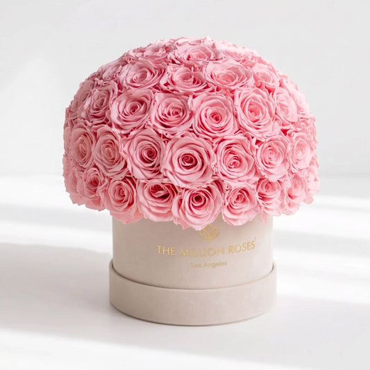 Box Superdome in camoscio beige classico | Rose rosa chiaro