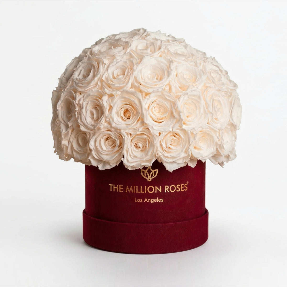 Boîte Superdome en suédine Bordeaux classique | Roses blanches