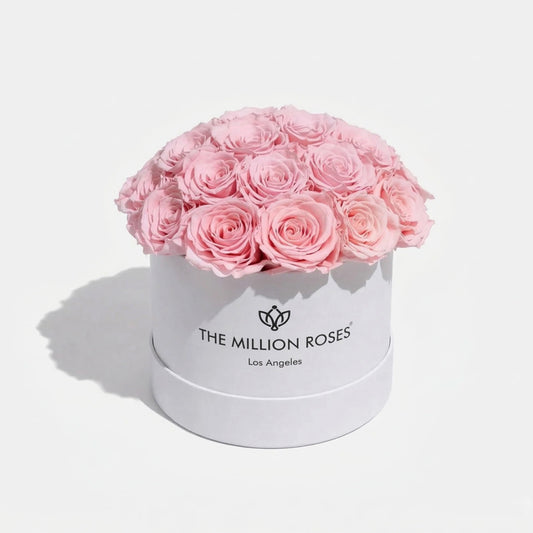 Scatola a cupola bianca classica | Rose rosa chiaro