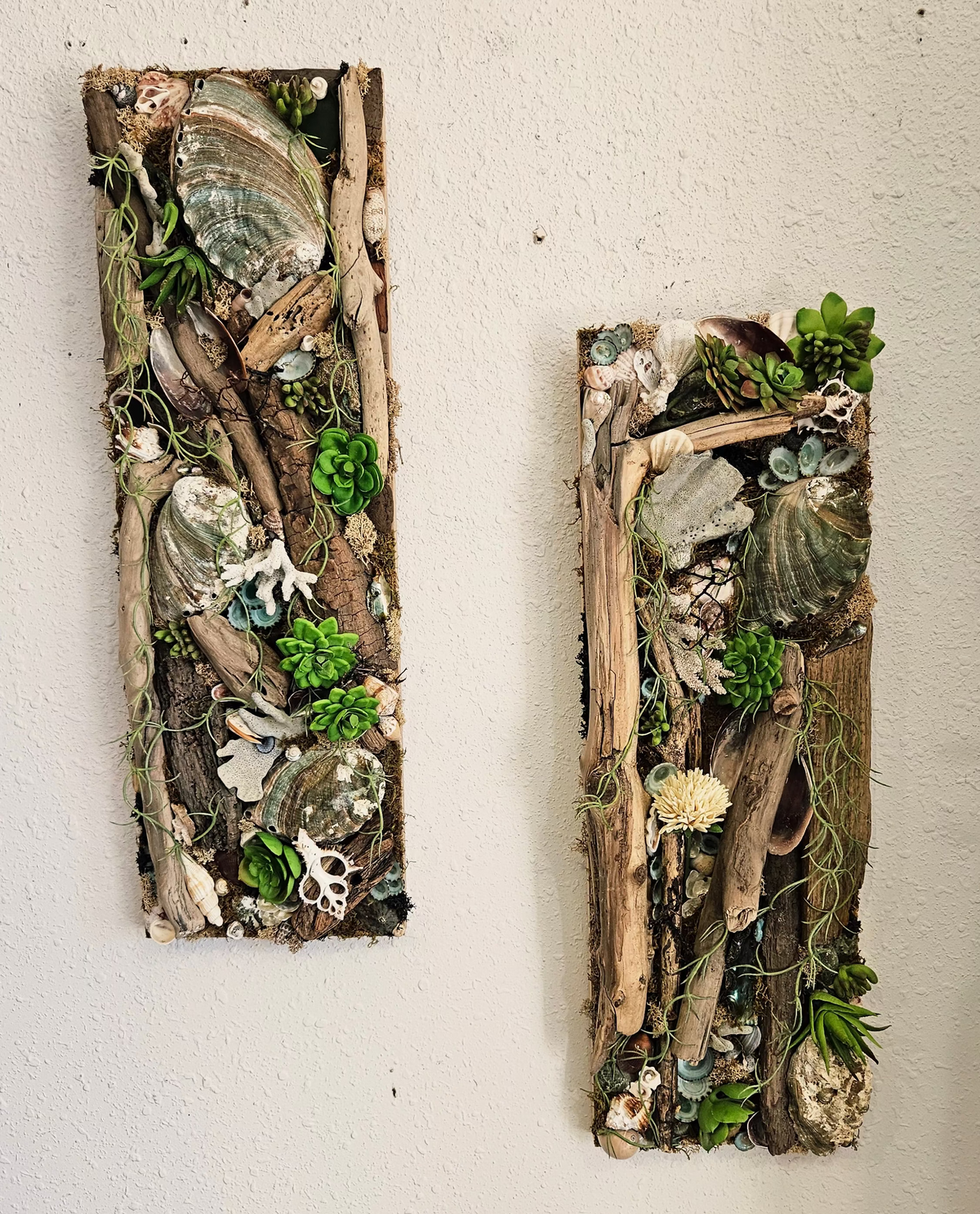 Pair of Coastal Driftwood & Succulent Mixed Media Wall Art Panels - 22.5"