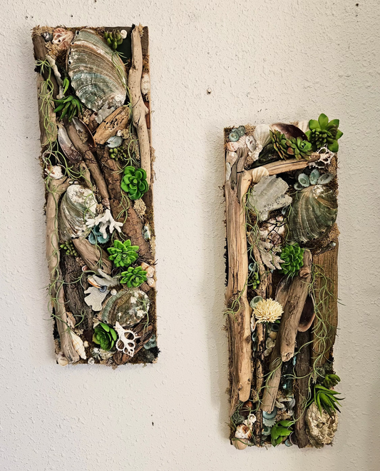 Paire de panneaux muraux en techniques mixtes bois flotté côtier et plantes succulentes - 22,5 po