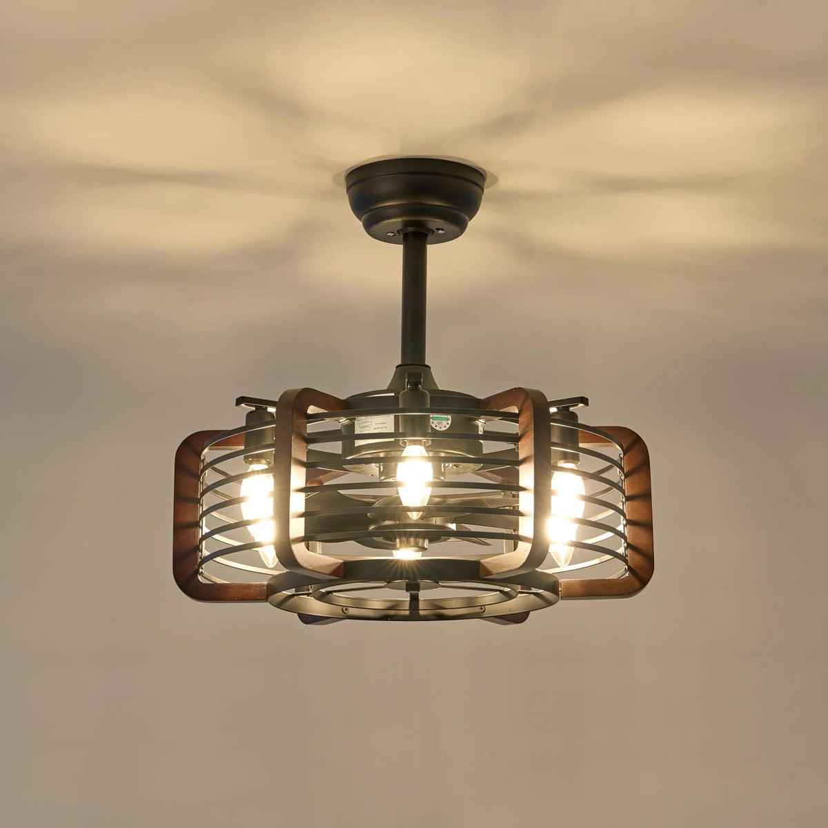 Caged Ceiling Fan with 6 LED Lights