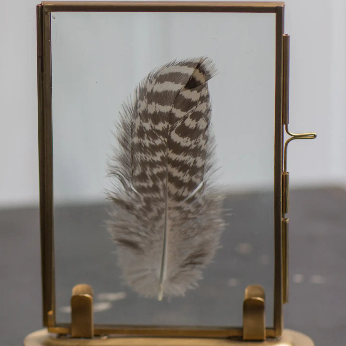 Solid Brass Frame with Stand