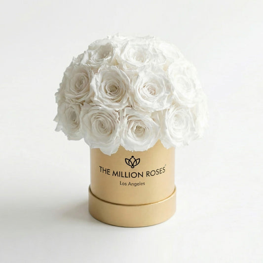 Essence Gold Superdome Box | Rose bianche