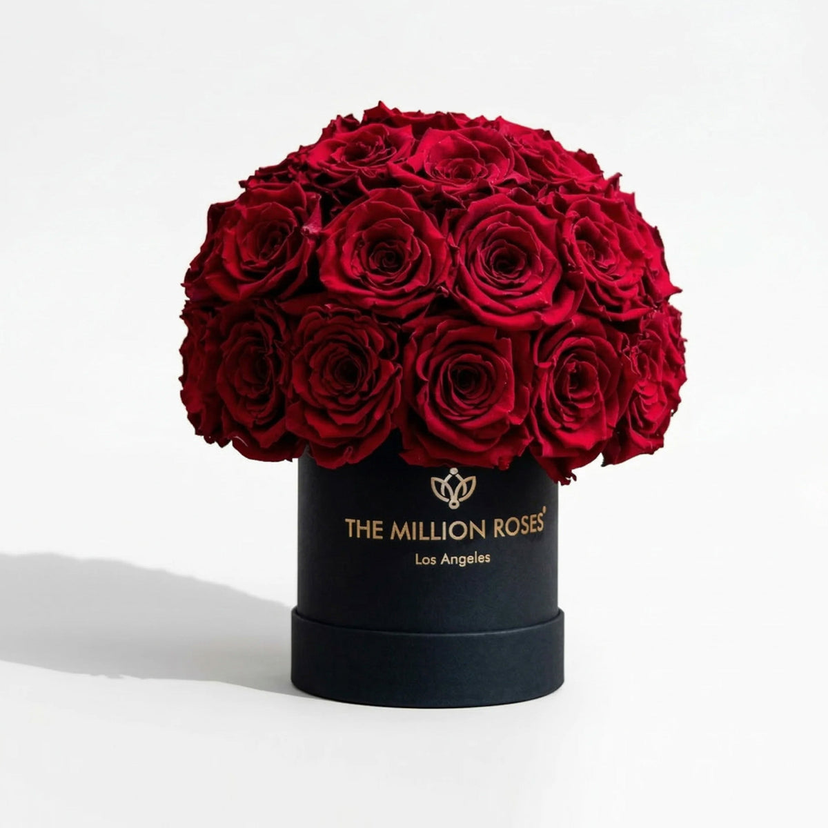 Essence Black Superdome Box | Rose Rosse