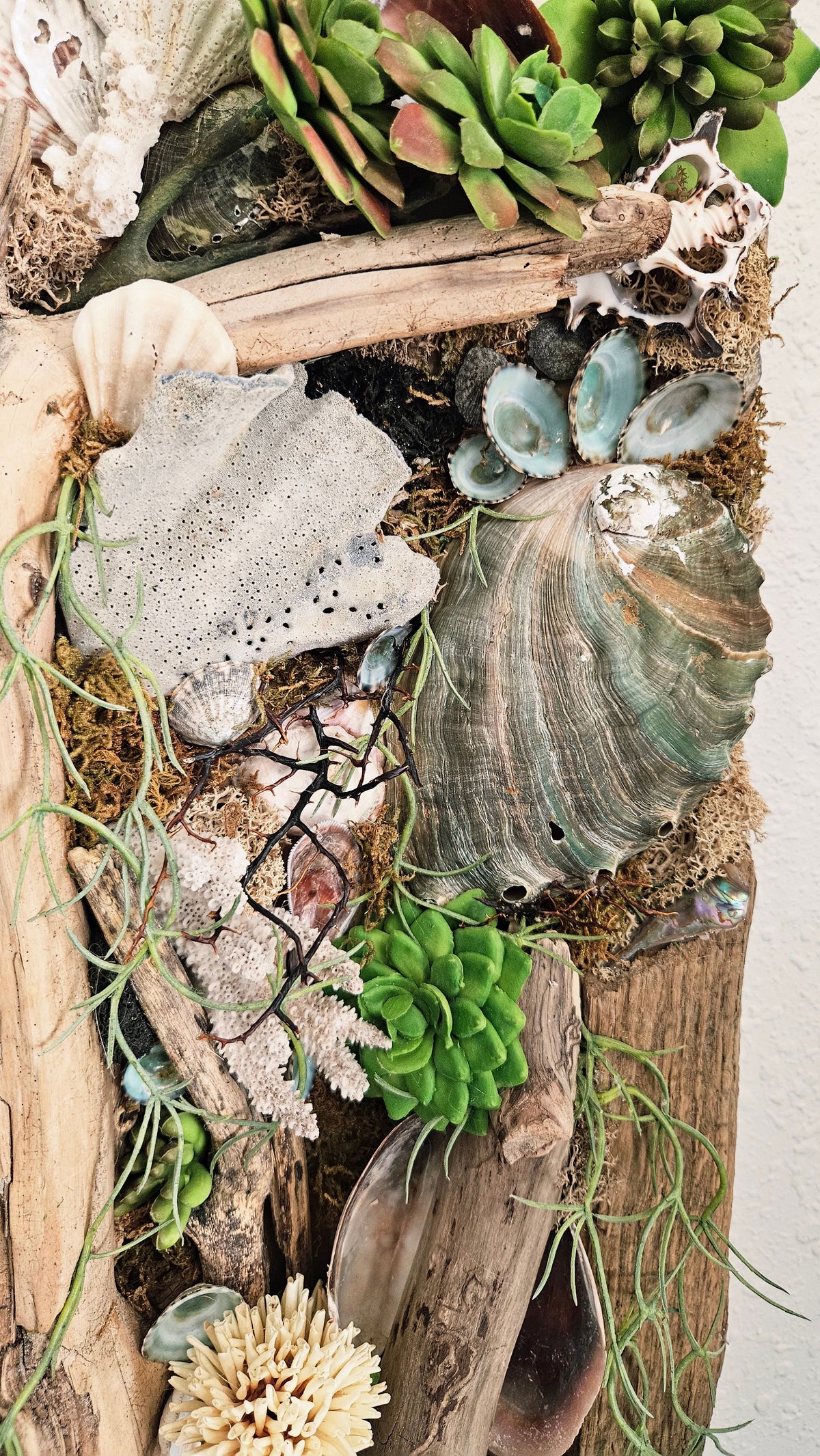 Pair of Coastal Driftwood & Succulent Mixed Media Wall Art Panels - 22.5"