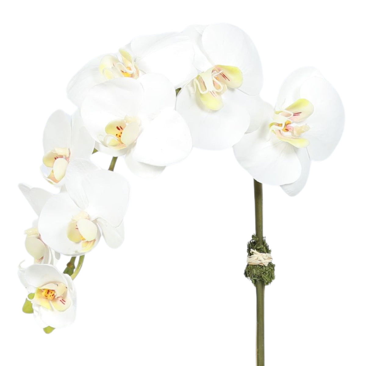 Faux Orchid Plant in Square Vase - 20"