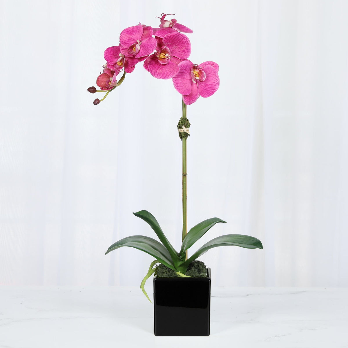 Faux Orchid Plant in Square Vase - 20"