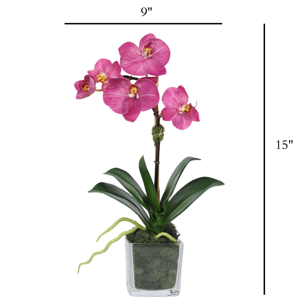 Mini Orchid Arrangement in Square Glass Vase