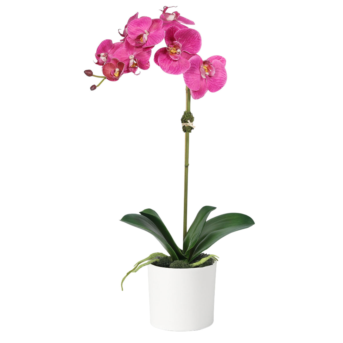 Artificial Orchid Plant in Vase - 20"