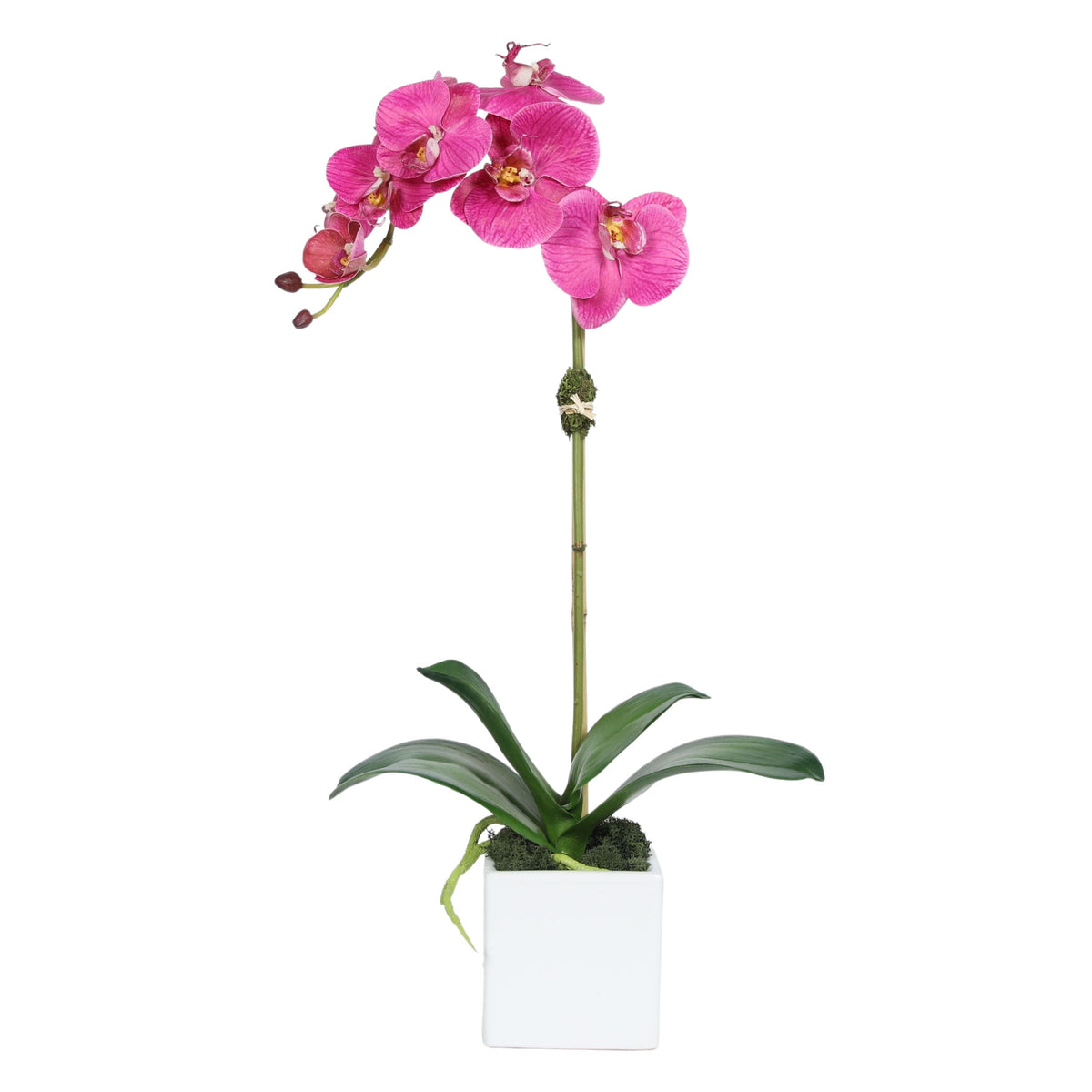 Faux Orchid Plant in Square Vase - 20"