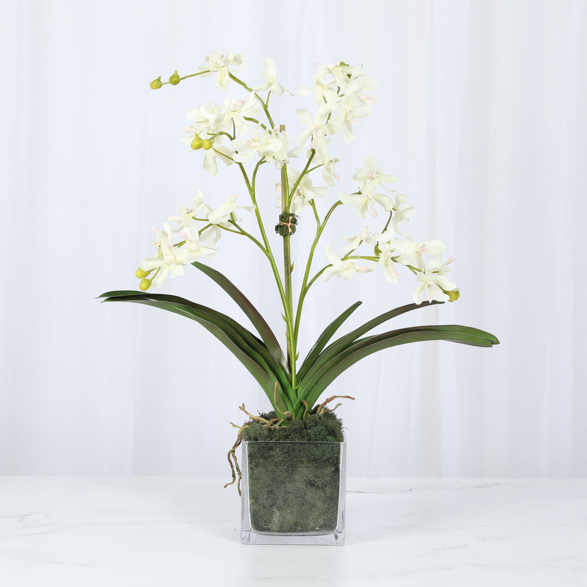 Orchid Arrangement in Vase - 24"