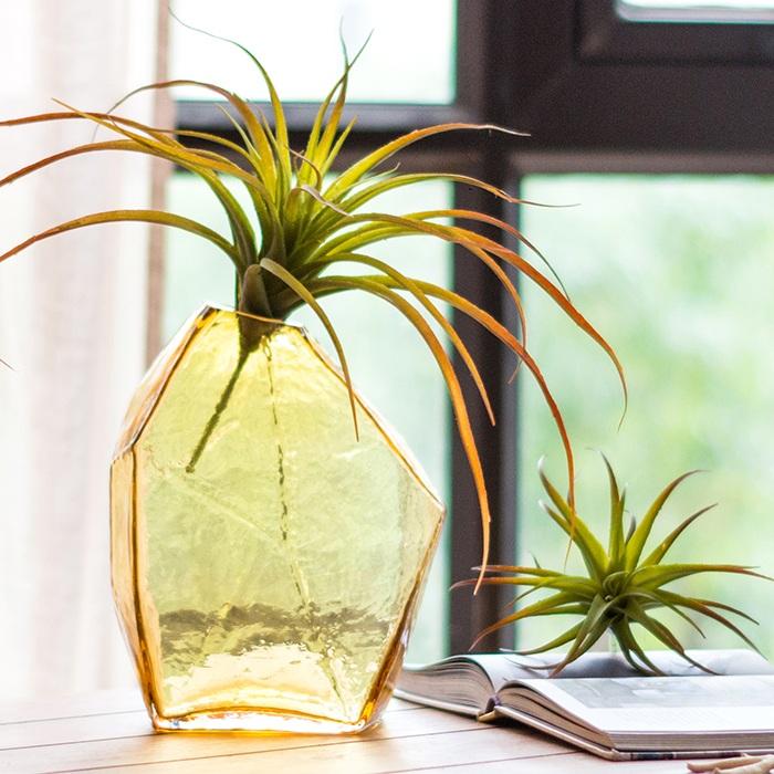 Glass Vase Hand Blown Glass Vase in Various Colors