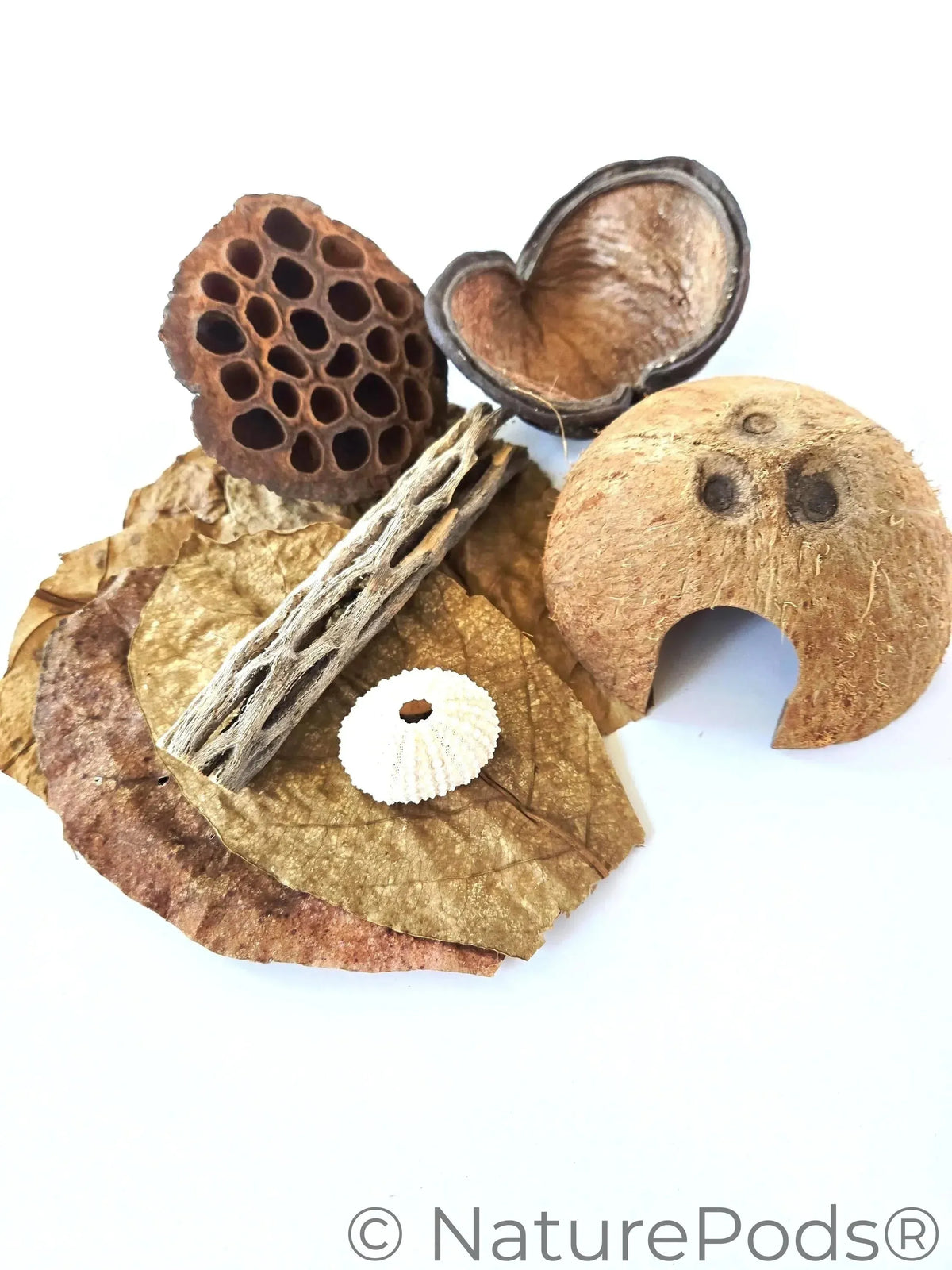 Hermit Crab Botanical Enrichment Pack