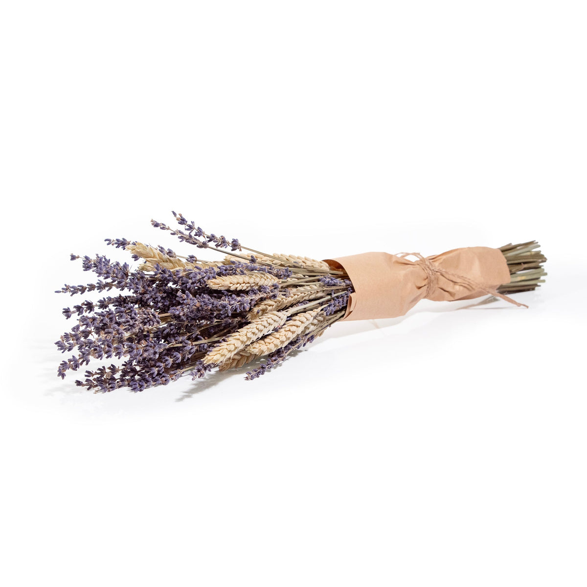Lavender & Aveena Bundle