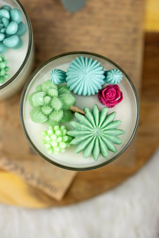 Bougie cactus succulente avec terrarium en verre, cadeau de jardin, parfum fleur de cactus