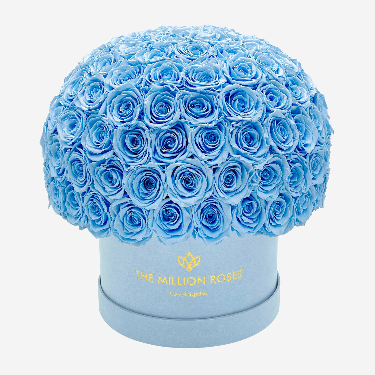 Scatola Superdome in camoscio azzurro Supreme | Rose azzurre