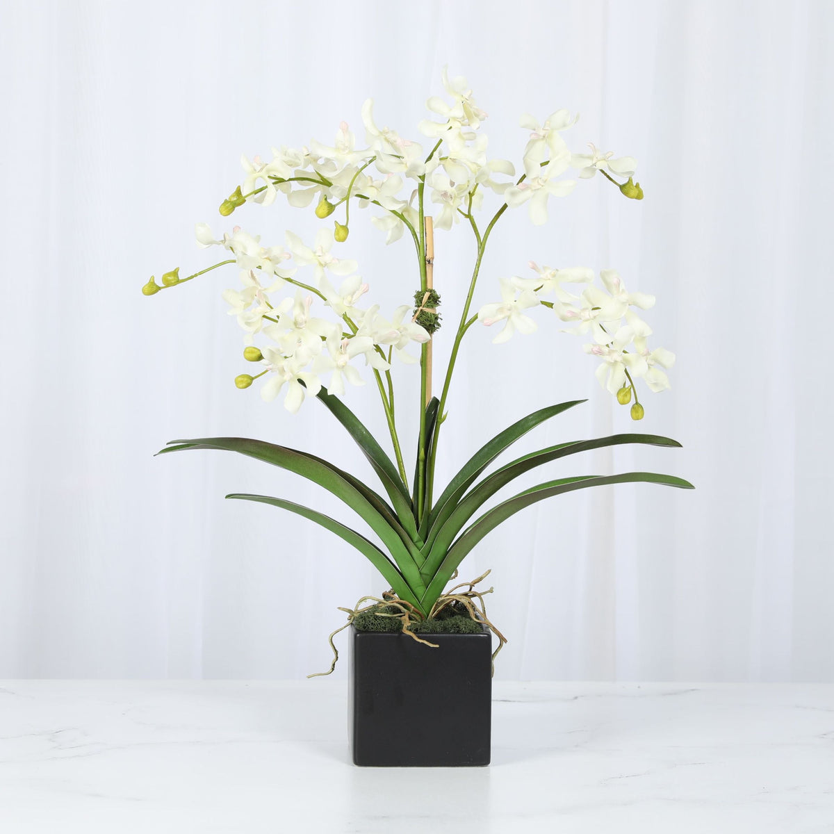 Orchid Arrangement in Vase - 24"