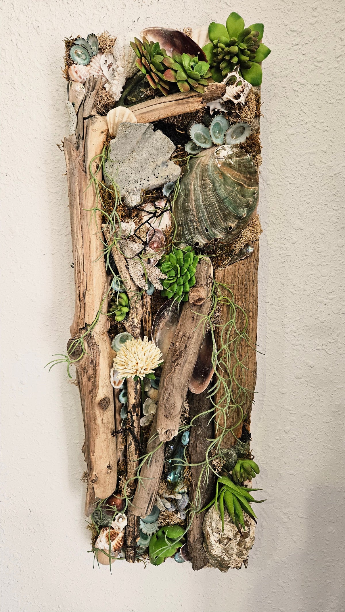 Pair of Coastal Driftwood & Succulent Mixed Media Wall Art Panels - 22.5"