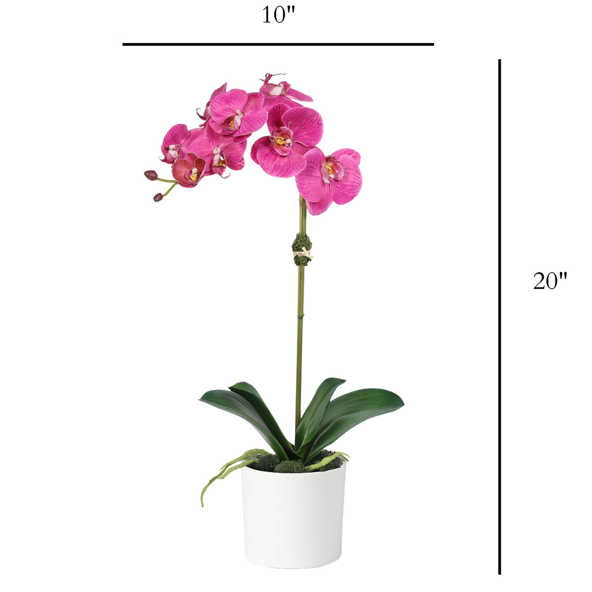 Artificial Orchid Plant in Vase - 20"