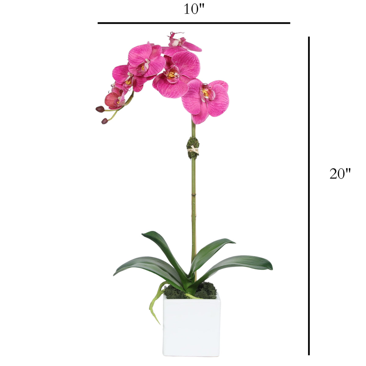 Faux Orchid Plant in Square Vase - 20"