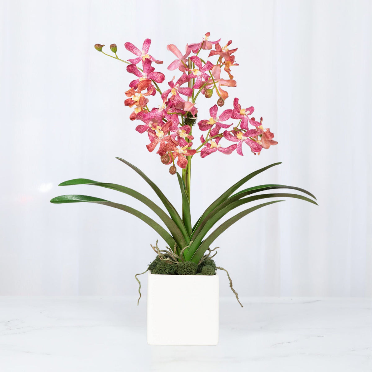 Pink Vanda Orchid Arrangement in Vase - 24"