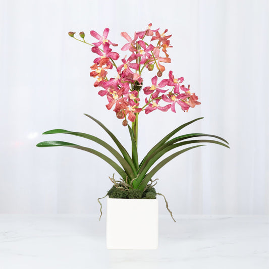 Pink Vanda Orchid Arrangement in Vase - 24"