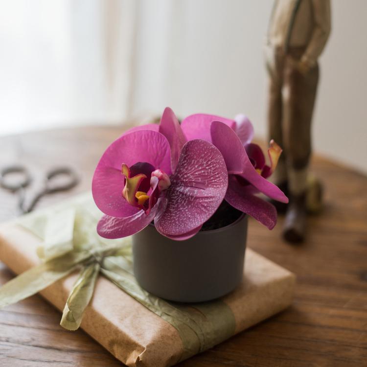 Orchidea in vaso mini "Real Touch" viola