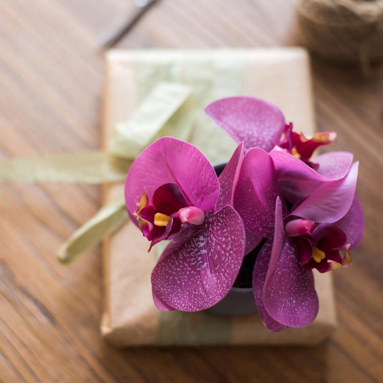 Orchidea in vaso mini "Real Touch" viola