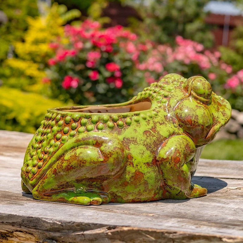 Verdant Garden Ceramic Frog Planter