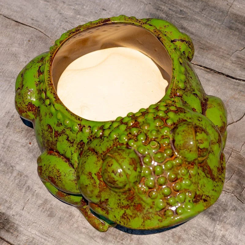 Verdant Garden Ceramic Frog Planter