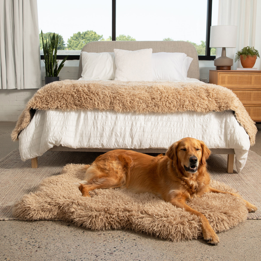 Lit orthopédique pour chien PupRug® Luxe en fausse fourrure - Mouton pelucheux beige