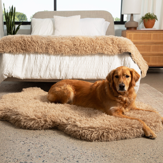 Lit orthopédique pour chien PupRug® Luxe en fausse fourrure - Mouton pelucheux beige