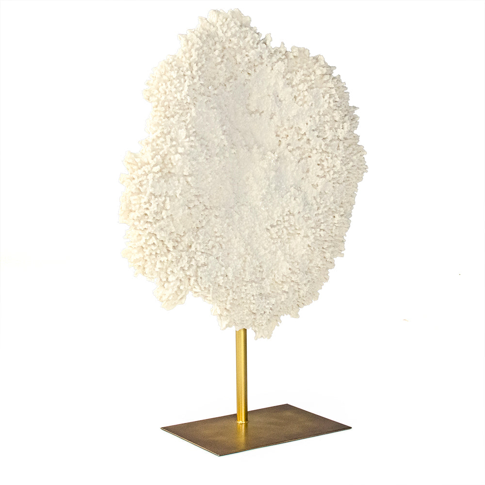 White Coral Sculpture Gold Base 30 in