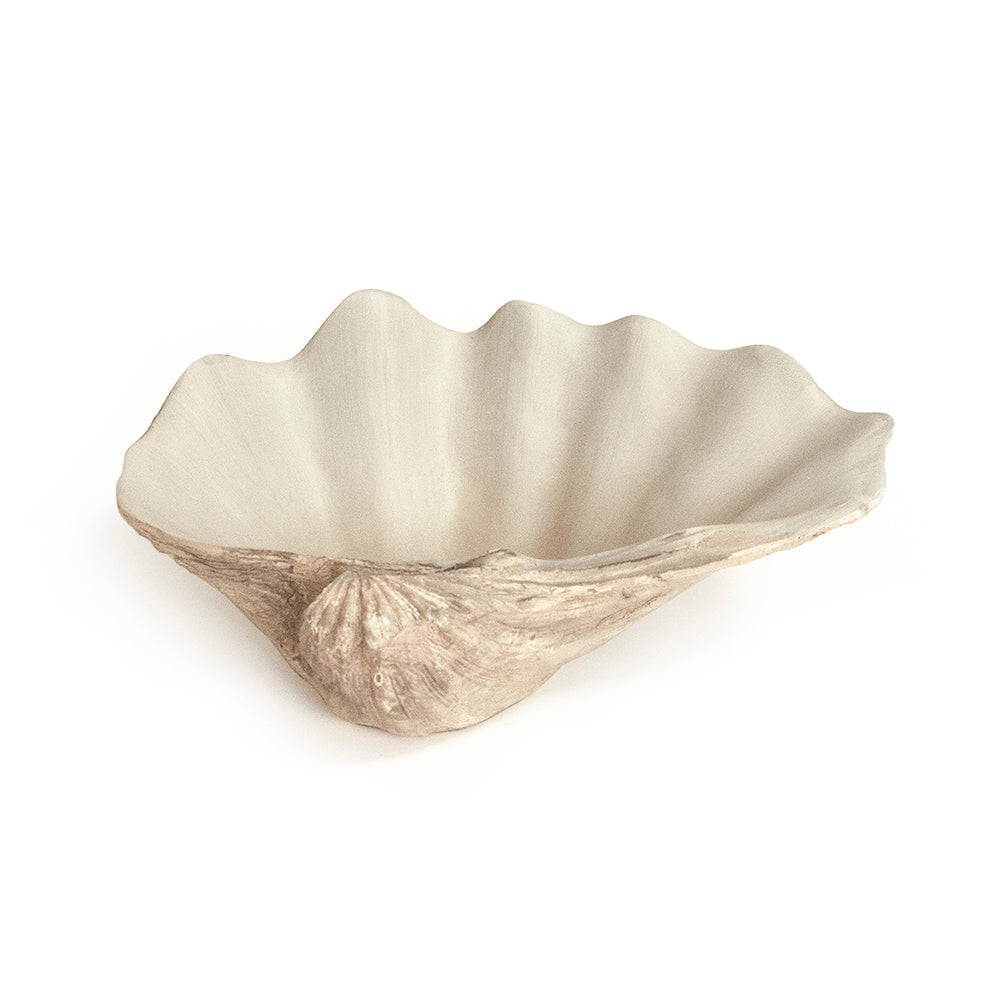 Tridacna Half Shell Bowl 13.5 in