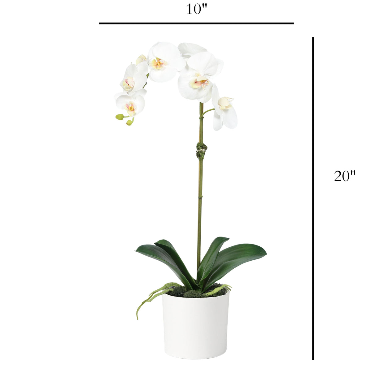 Artificial Orchid Plant in Vase - 20"
