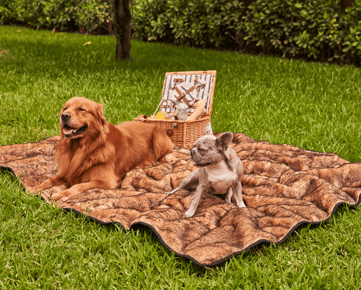 PupProtector™ Summer Short Fur Waterproof Throw Blanket - Sable Tan