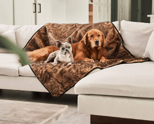 Coperta impermeabile a pelo corto estivo PupProtector™ - Sable Tan