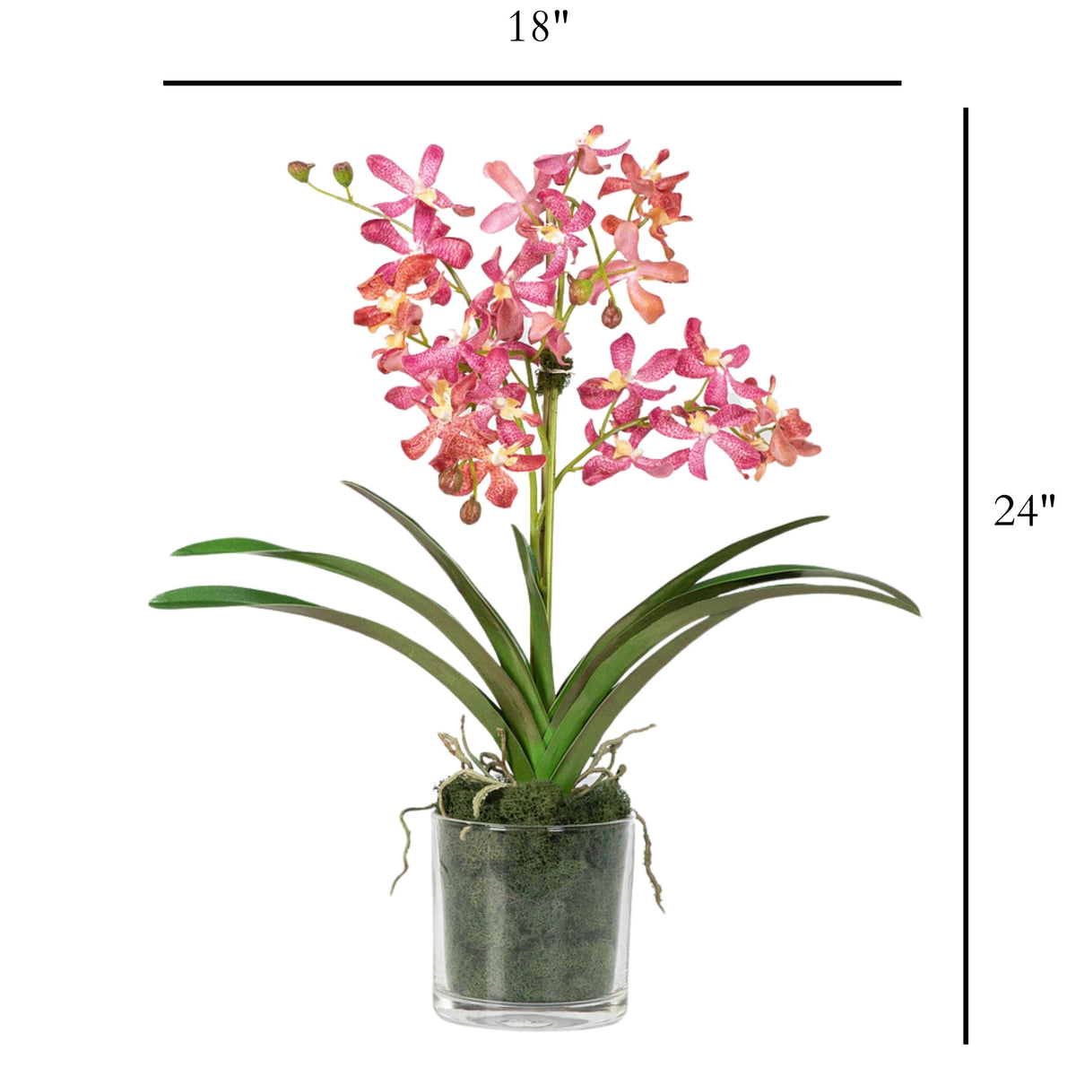Pink Vanda Orchid Arrangement in Vase - 24"