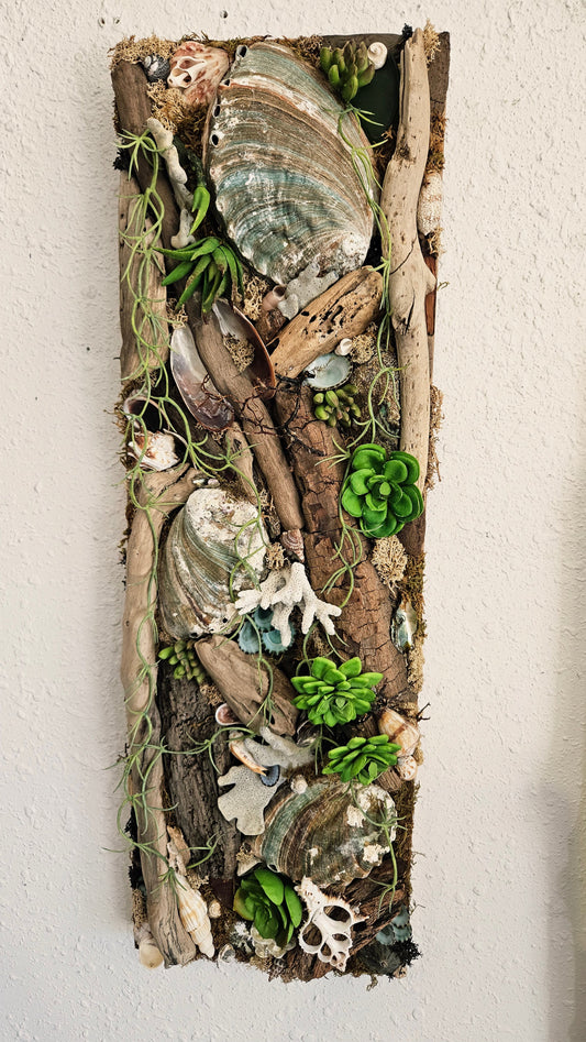 Paire de panneaux muraux en techniques mixtes bois flotté côtier et plantes succulentes - 22,5 po