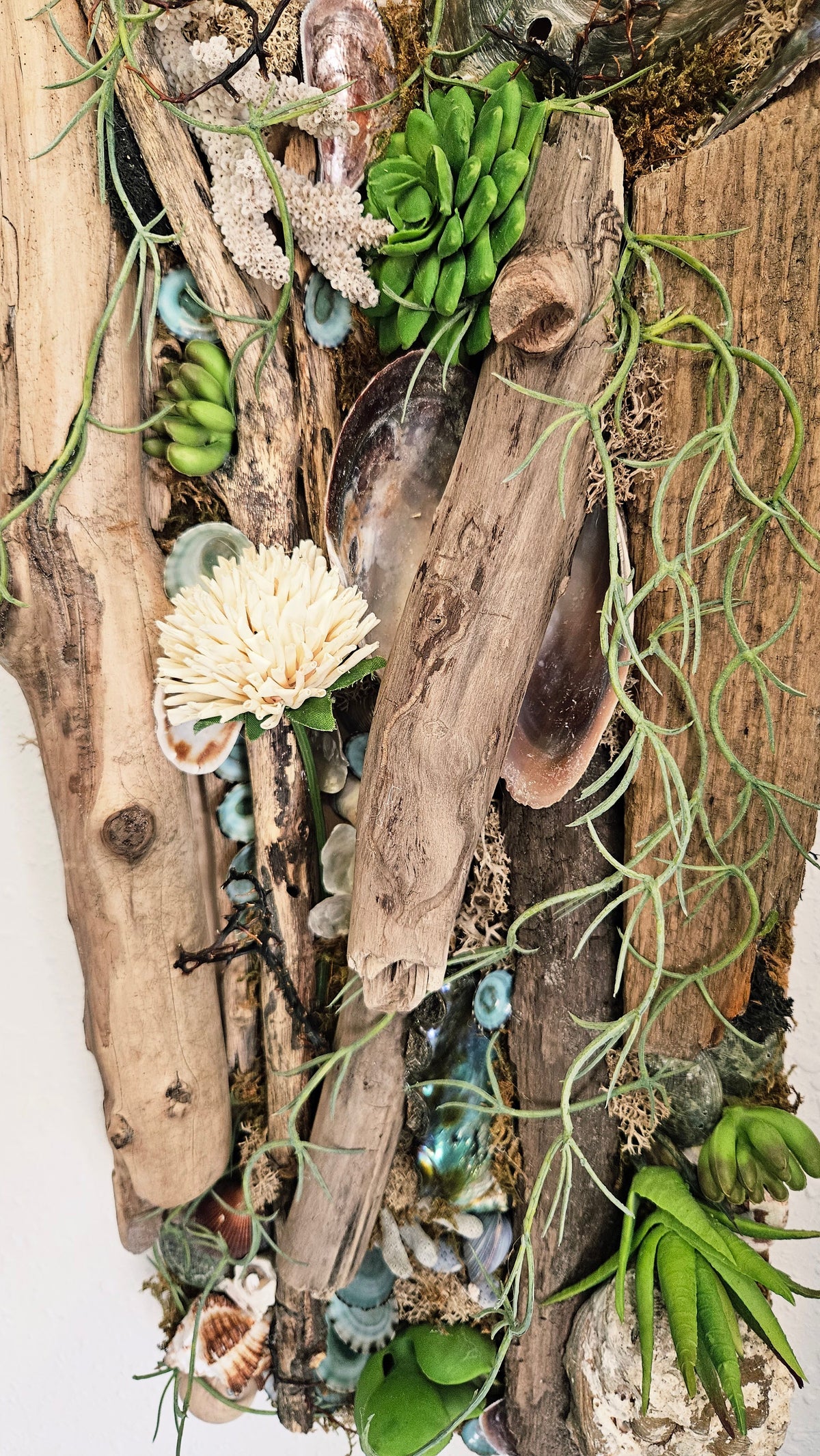 Pair of Coastal Driftwood & Succulent Mixed Media Wall Art Panels - 22.5"