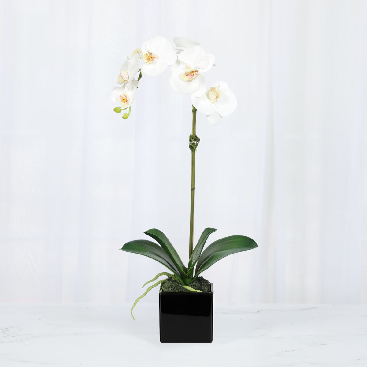 Faux Orchid Plant in Square Vase - 20"