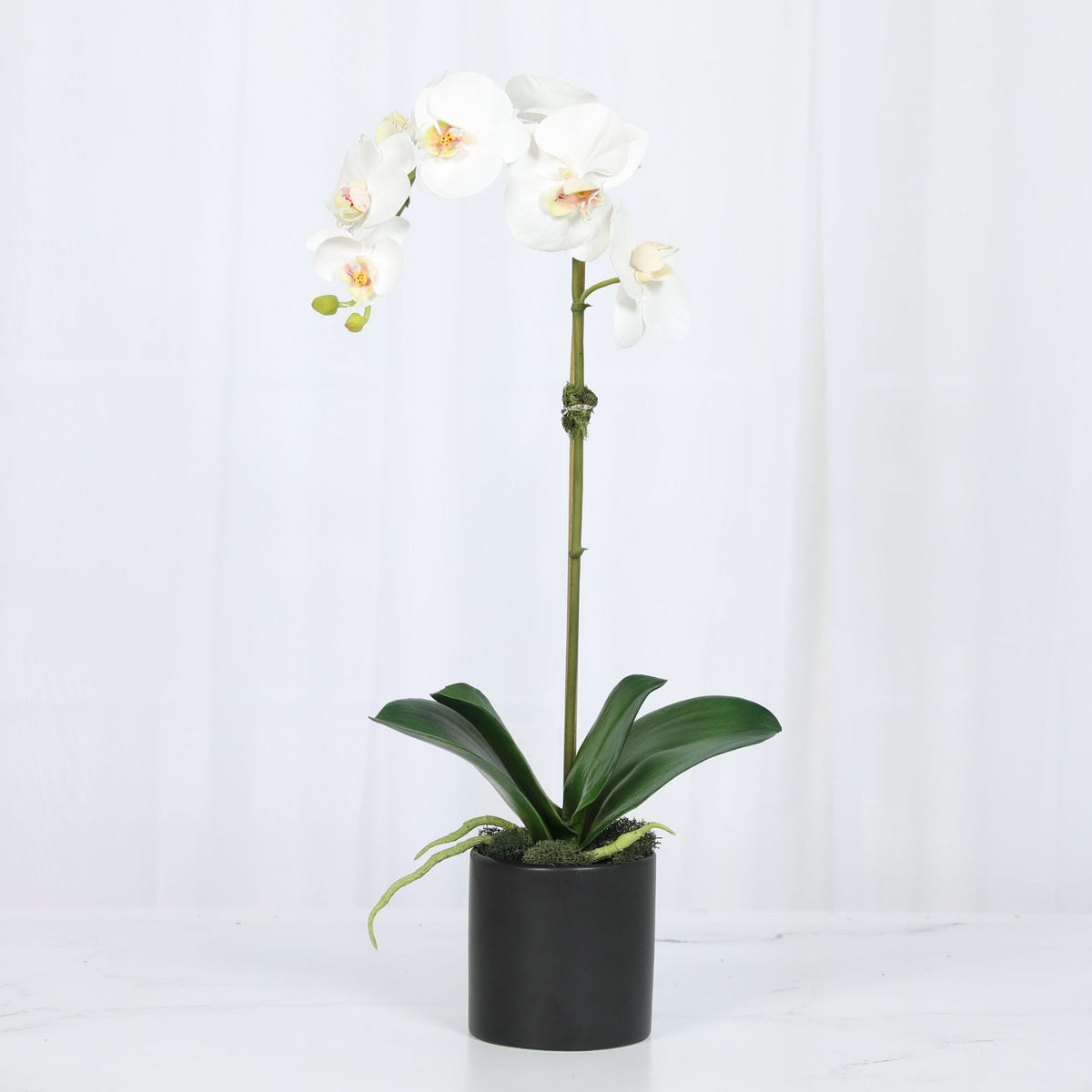 Artificial Orchid Plant in Vase - 20"