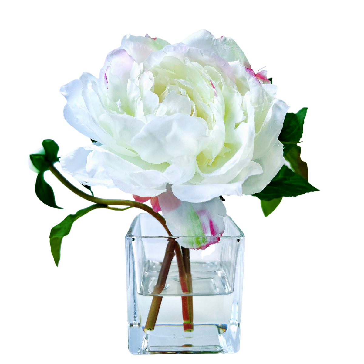 Real Touch Peony Arrangement in Glass Vase - 8"