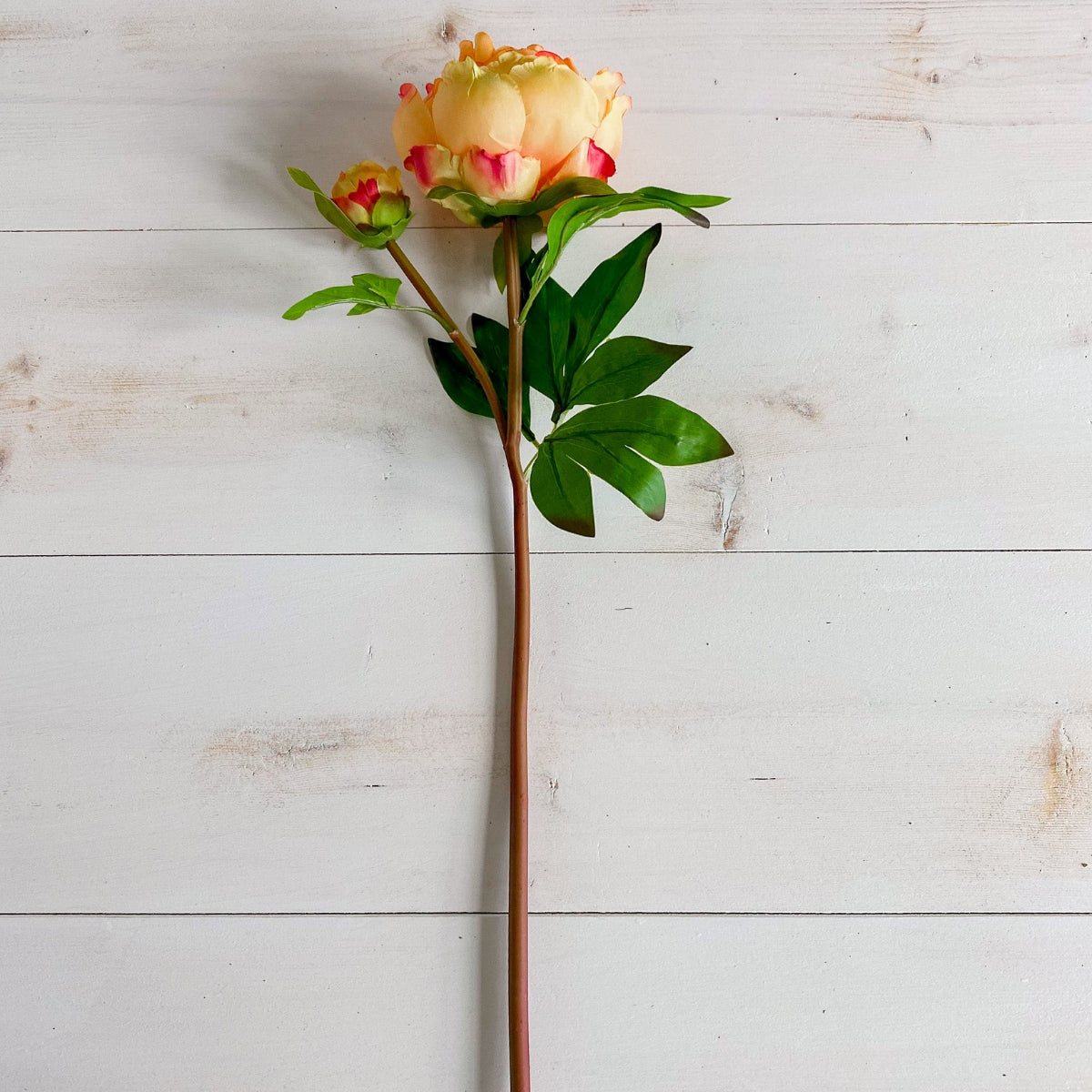 Yellow & Orange Peony Spray 23.5" - Single Stem Artificial Flower